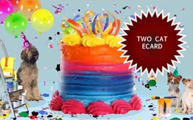A Birthday Surprise two cat ecard