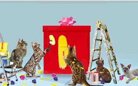 A Get Well Surprise cat ecard