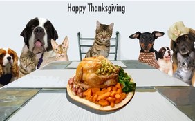 Thanksgiving Day ecard with Cats