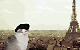 So Many Ways To Say It thank you ecard with cats