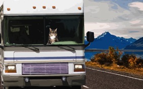 Have a Great Trip cat ecard