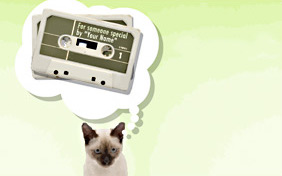 A Picture For You ecard with cats