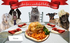 Warm Wishes holiday ecard with cats