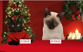 Christmas Fun ecard with cats
