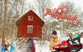 Happy Winter ecard with cats