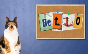 Hello Cat Ecard