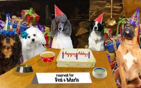 Cheers to You! birthday ecard with two dogs