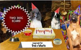 Cheers to You! birthday ecard with two dogs
