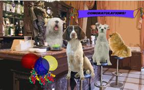 Cheers to You! congratulations dog ecard