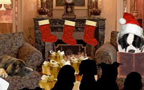 Santa Paws Is Coming Christmas ecard with dogs
