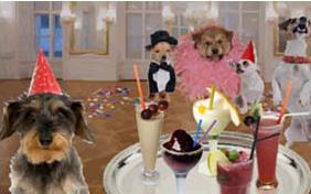 New Year's Cocktail dog ecard