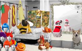 Halloween Costume ecard with dogs