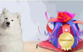 Furbulous dog ecard