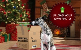 Christmas Delivery photo upload dog ecard