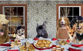 A Family Hanukkah ecard with dogs
