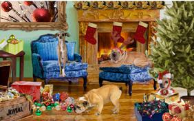 Christmas Time dog ecard