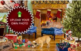 Christmas Time photo upload dog ecard