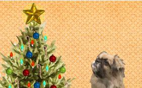 Getting Ready for Christmas ecard with dogs