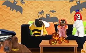 Costume Time halloween ecard with dogs