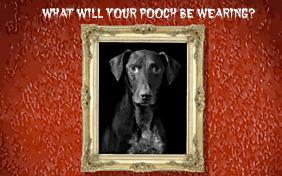 Halloween ecard with dogs