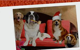 Holiday Wishes ecard with dogs