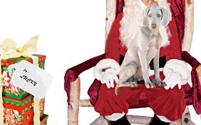 A Holiday Wish ecard with dogs