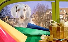 Holiday Activities For Dogs: Upload Your Photo ecard with dogs