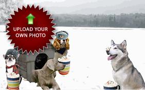 Holiday Activities For Dogs: Upload Your Photo ecard with dogs