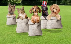 Memorial Day Picnic dog ecard