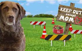 Keep Out! Except Mom Mother's Day dog ecard