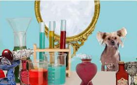 Love Potion ecard with dogs