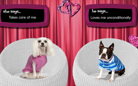 Is It Love dog ecard