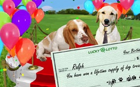 Birthday Fortune dog ecard