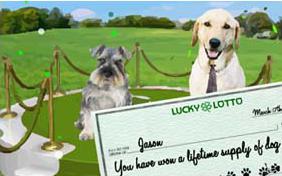 St. Patrick's Day Lucky Lotto dog ecard
