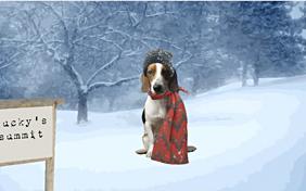 Merry Christmas: Upload Your Photo ecard with dogs