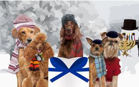 A Hanukkah Message dog ecard