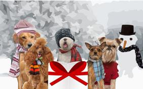 A Holiday Message dog ecard