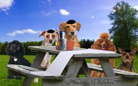 A Passover Message dog ecard