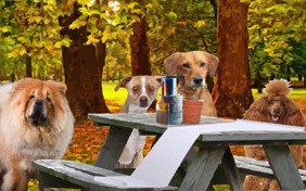 A Thanksgiving Message dog ecard