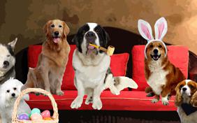 Easter Wishes ecard with dogs
