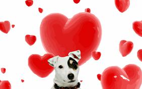 Love at first sight ecard with dogs