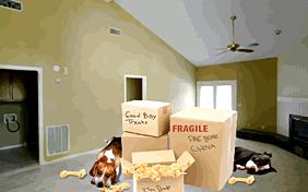 New Home ecard with dogs