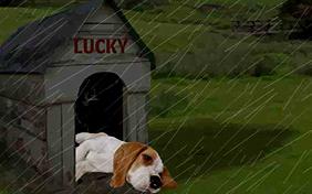 Sympathy ecard with dogs