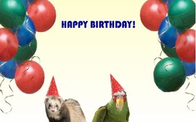 Birthday Agenda ecard with pets