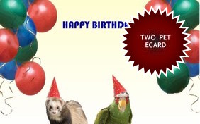 Birthday Agenda ecard with two pets
