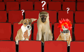 Birthday Band Auditions pet ecard