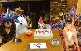 Cheers to You! birthday pet ecard
