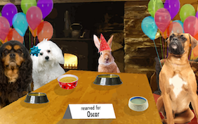 Cheers to You! congratulations pet ecard