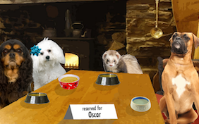 Cheers: Father's Day edition pet ecard