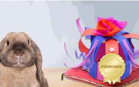 Furbulous pet ecard